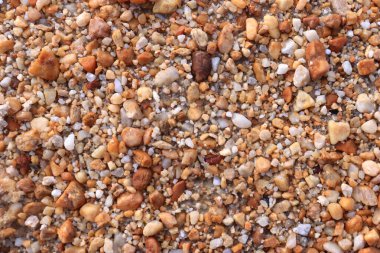 Small brown rocks on the river bank