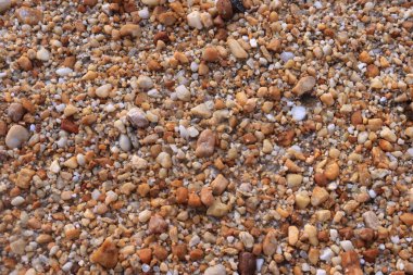 Small brown rocks on the river bank