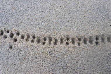 White sand with a pattern formed by rain drops
