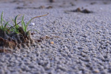 White sand with a pattern formed by rain drops