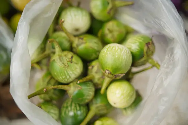 Fresh Eggplant Green Organic Traditional Market — Stockfoto
