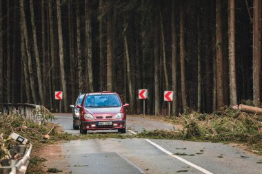 İtfaiyeciler ormanda devrilmiş ağaçları kesiyor.