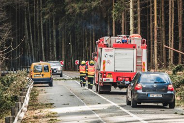 firefighters on the road, cutting fallen trees, the way to the forest.