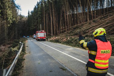 firefighters on the road, cutting fallen trees, the way to the forest.