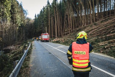 firefighters on the road, cutting fallen trees, the way to the forest.