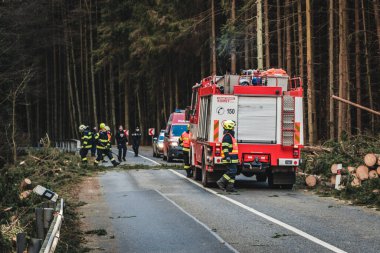 firefighters on the road, cutting fallen trees, the way to the forest.