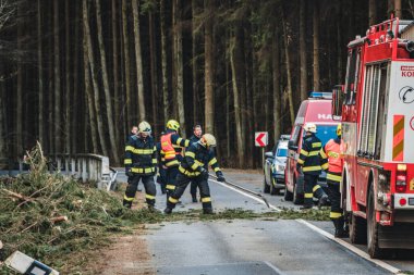 firefighters on the road, cutting fallen trees, the way to the forest.