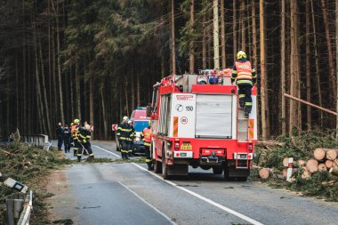 firefighters on the road, cutting fallen trees, the way to the forest.