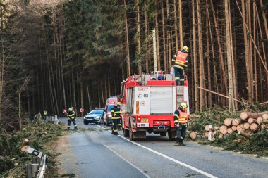 firefighters on the road, cutting fallen trees, the way to the forest.