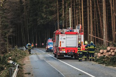 firefighters on the road, cutting fallen trees, the way to the forest.