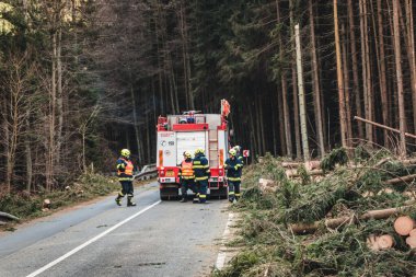firefighters on the road, cutting fallen trees, the way to the forest.