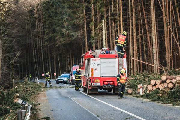 İtfaiyeciler yolda, devrilmiş ağaçları kesiyorlar, ormana giden yol....
