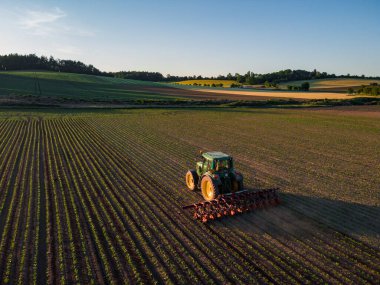 Bir çiftçi yaz günbatımına kadar traktörle tarlayı hasat ediyor.