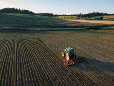 Bir çiftçi yaz günbatımına kadar traktörle tarlayı hasat ediyor.