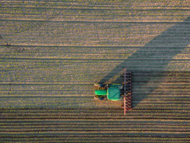Bir çiftçi yaz günbatımına kadar traktörle tarlayı hasat ediyor.