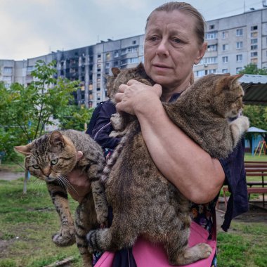Kharkiv, Ukraine. August 4, 2022. A woman saving cats abandoned by owners after the building was hit by a Russian missile.