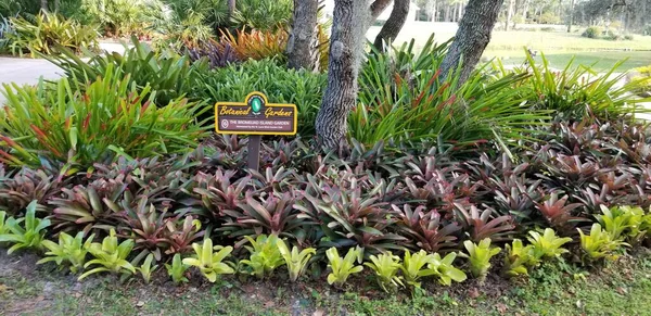 Bromeliads Botanical Garden — Stockfoto
