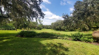 Green Meadow under a Cloudy Blue Sky