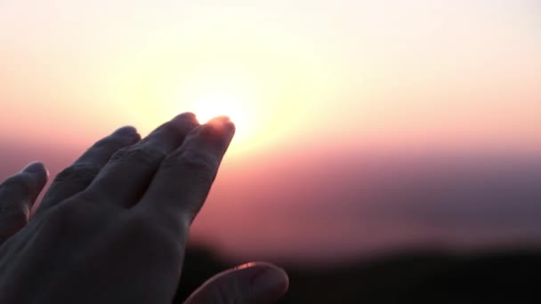 Bela Mão Feminina Pôr Sol Imagens Alta Qualidade — Vídeo de Stock