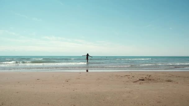 Силуэт Красивой Женщины Пляже Высококачественные Кадры — стоковое видео
