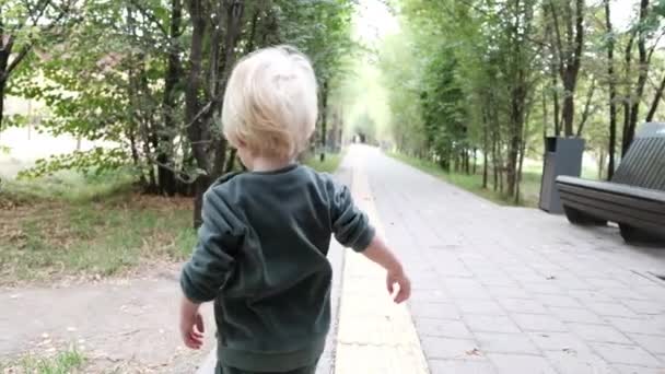 Милий Маленький Хлопчик Йде Шляху Парку Високоякісні Кадри — стокове відео
