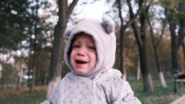 Little Cute Boy Crying Trees Close High Quality Footage — Stock Video