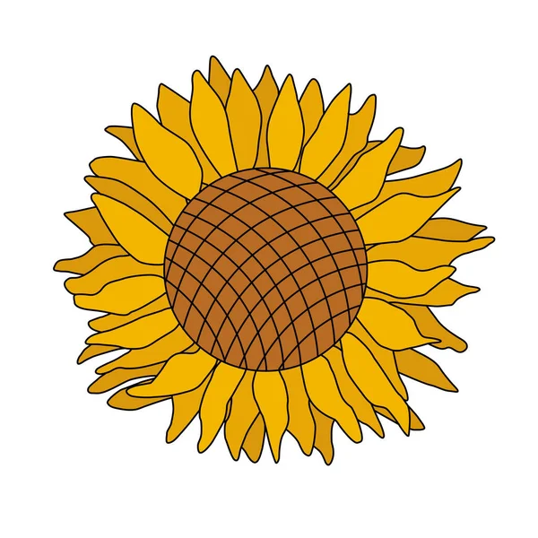 Yellow Sunflower Flat Style Isolated White Background Vector Illustration — Archivo Imágenes Vectoriales