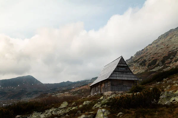 Patikadaki Eski Ahşap Kulübe Tatra Dağları Polonya — Stok fotoğraf