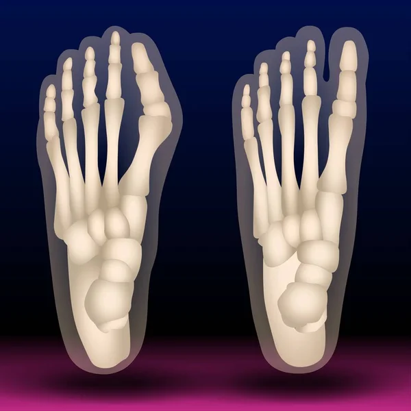 Fla source file available - Human Foot Claw Illustration