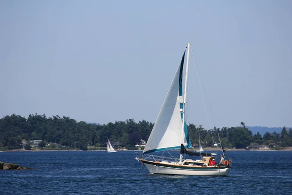 Sailboat Sailing Bay — Photo