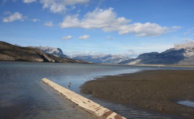 A log floating on a mountain lake.