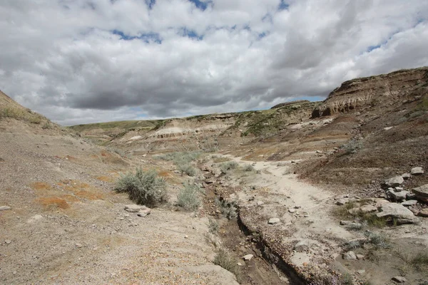 A landscape shot taken on a cloudy afternoon of the desert and a dry creek bed.