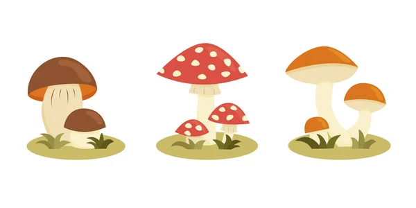 Set Mushrooms Cartoon Style Vector Illustration Isolated White Background — 图库矢量图片