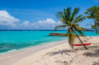 Caribbean Guadeloupe beach coconut