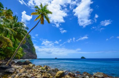 Caribbean Martinique wild beach