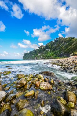 Caribbean Martinique vahşi deniz kıyısı