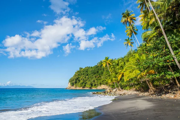 Caribbean Feeling Martinique Wild Beach — 스톡 사진