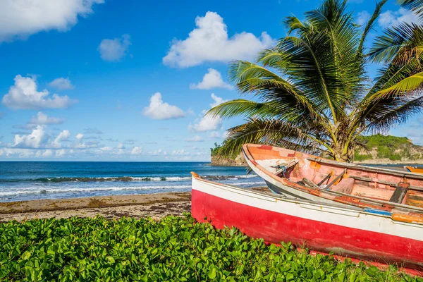 Caribbean Martinique Beach Traditional Fishing Boats — 스톡 사진