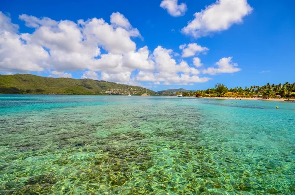 Caribbean Martinique Hot Colors Marin Bay — Stockfoto