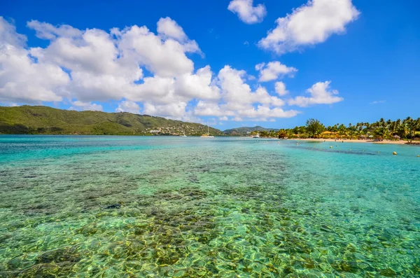 Caribbean Martinique Hot Colors Marin Bay — 스톡 사진