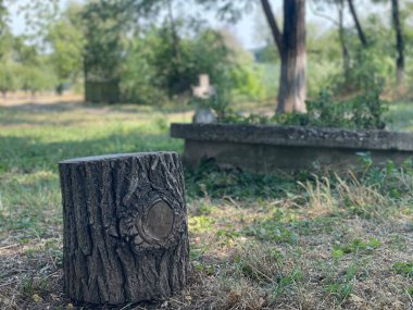 Terk edilmiş eski bir fıskiyenin önündeki tahta kütük.