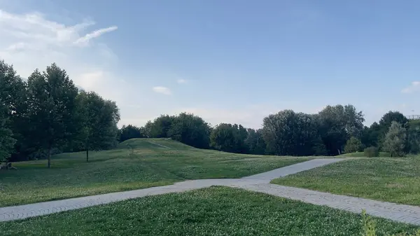 Sessiz bir akşamda ağaçlarla çevrili bir parkta çaprazlama.