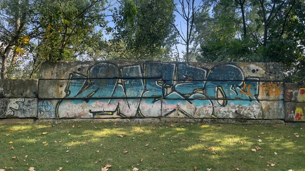 Blue Graffiti Text Wall Green Area — Fotografia de Stock