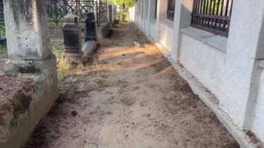 Güzel saksağan poz vermeyi ve gün batımında yemek yemeyi sever.