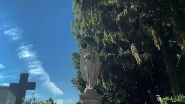 Angel Statue Funeral Monument Edge Cemetery — Stockvideo