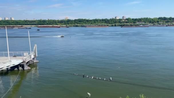 Lancha Rápida Sobre Danubio Con Aves Volando Sobre Escena — Vídeos de Stock