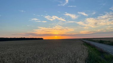 Bir buğday tarlasından kırsala giden yolda gün batımı