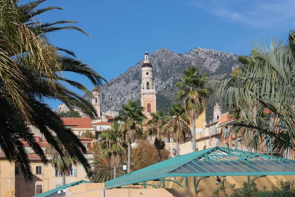 Town Mountains Palms — Stock Photo, Image