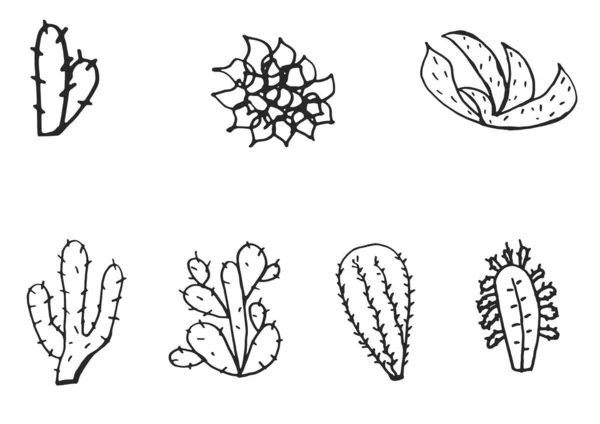Serie Cactus Desertici Disegnati Mano — Vettoriale Stock