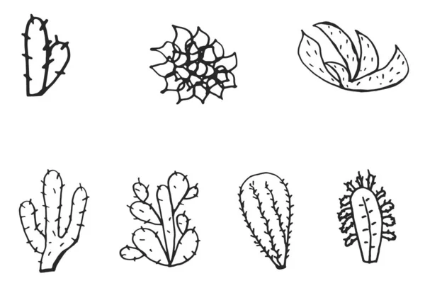 Set Van Met Hand Getrokken Woestijncactussen — Stockvector